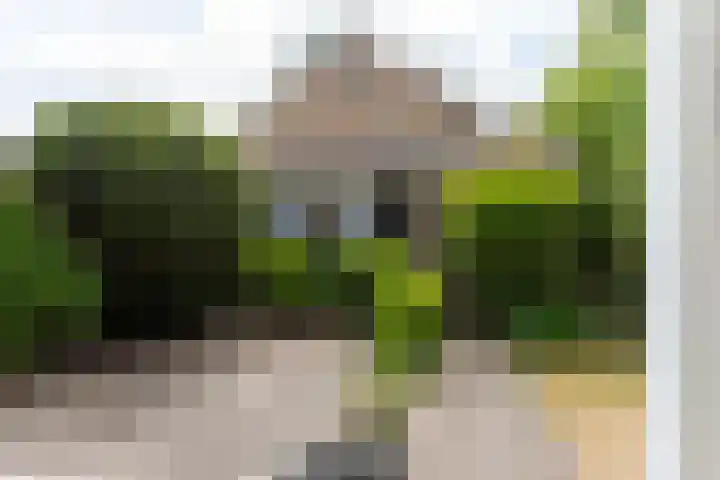 Berkenlaan 1 Castricum thumbnail 15
