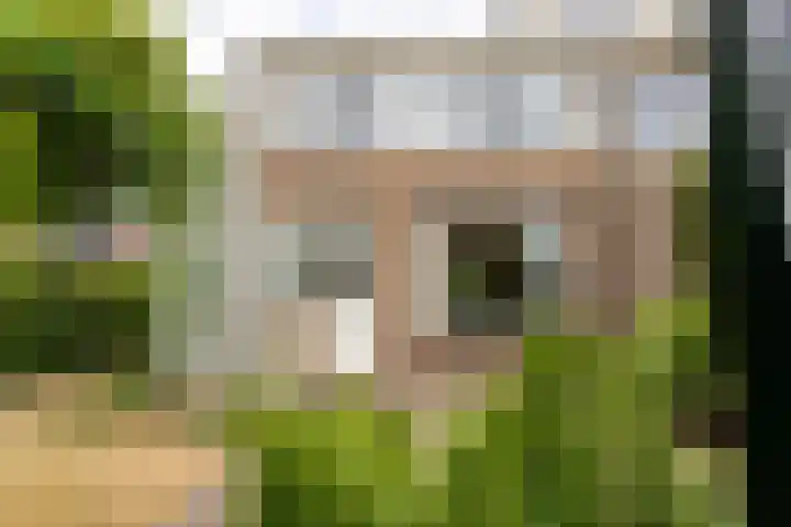 Berkenlaan 1 Castricum thumbnail 16