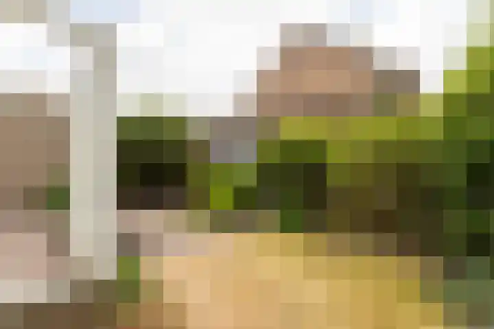 Berkenlaan 1 Castricum thumbnail 18