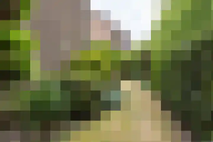 Berkenlaan 1 Castricum thumbnail 19