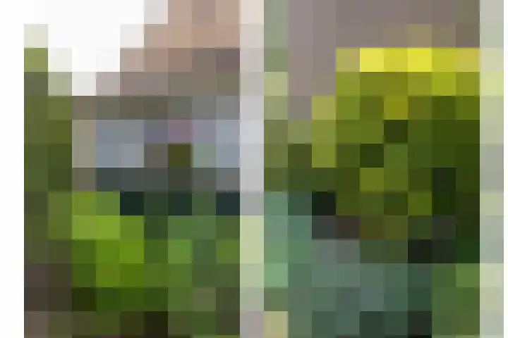 Berkenlaan 1 Castricum thumbnail 20
