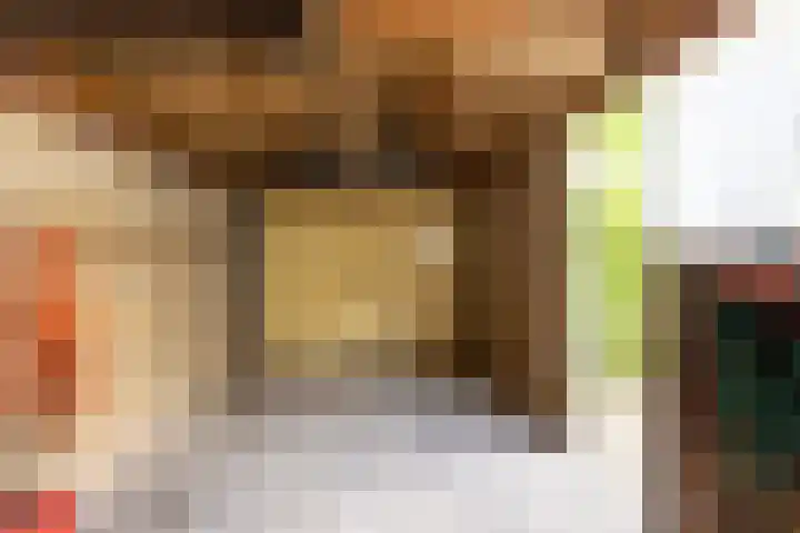 Berkenlaan 1 Castricum thumbnail 23