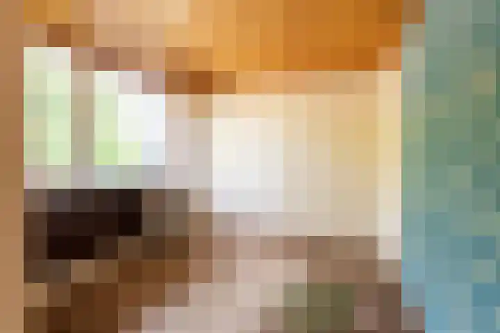 Berkenlaan 1 Castricum thumbnail 25