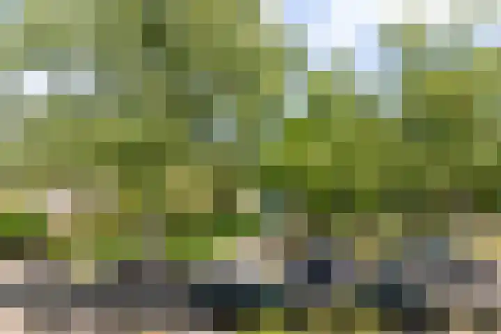 Berkenlaan 1 Castricum thumbnail 27