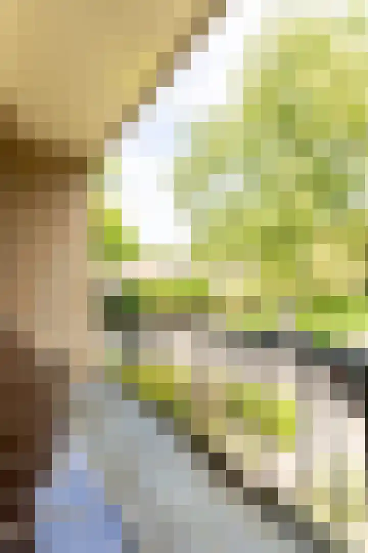 Berkenlaan 1 Castricum thumbnail 28