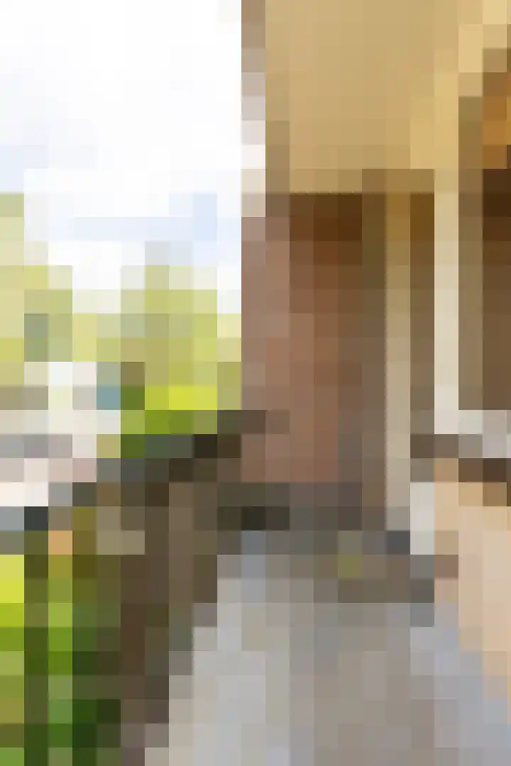 Berkenlaan 1 Castricum thumbnail 29