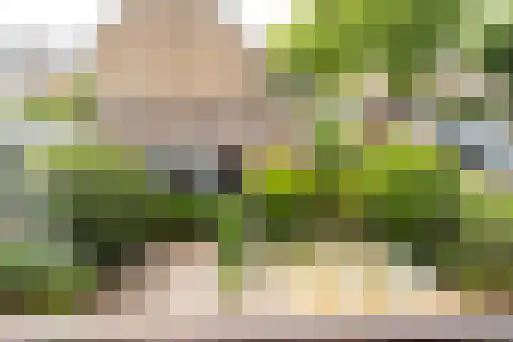 Berkenlaan 1 Castricum thumbnail 33