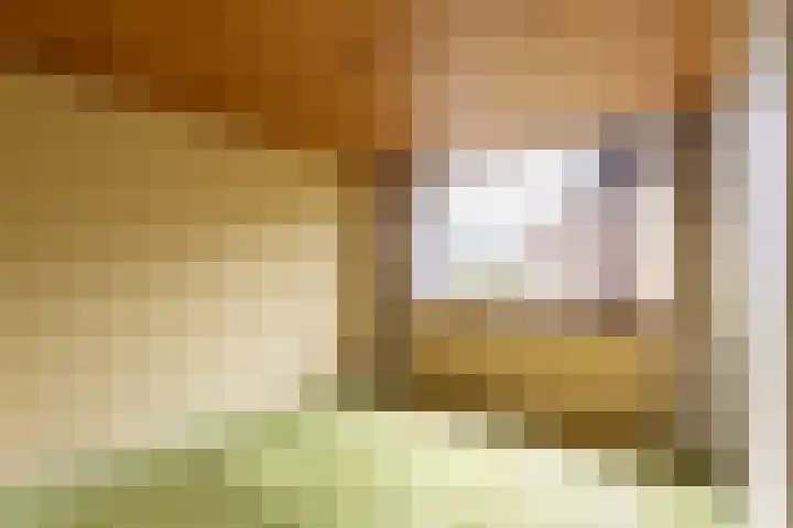 Berkenlaan 1 Castricum thumbnail 34