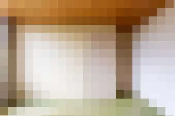 Berkenlaan 1 Castricum thumbnail 35