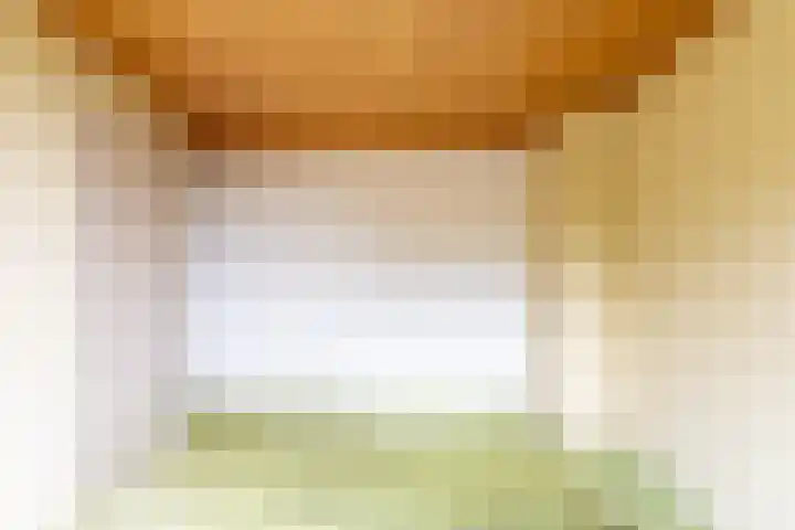 Berkenlaan 1 Castricum thumbnail 36