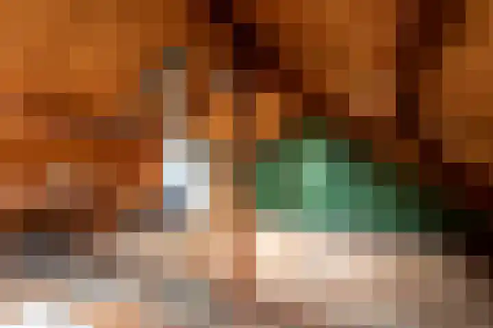 Berkenlaan 1 Castricum thumbnail 39