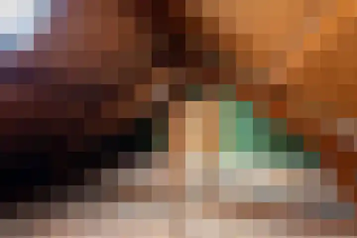 Berkenlaan 1 Castricum thumbnail 40