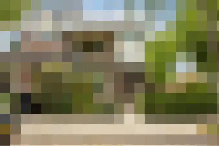 Berkenlaan 1 Castricum thumbnail 41
