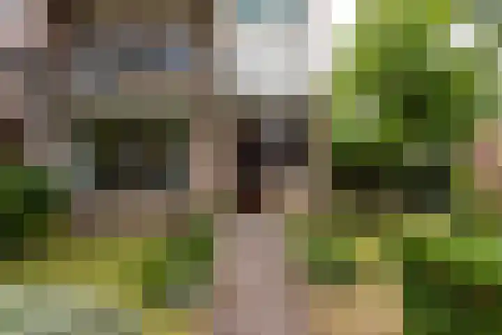 Berkenlaan 1 Castricum thumbnail 42