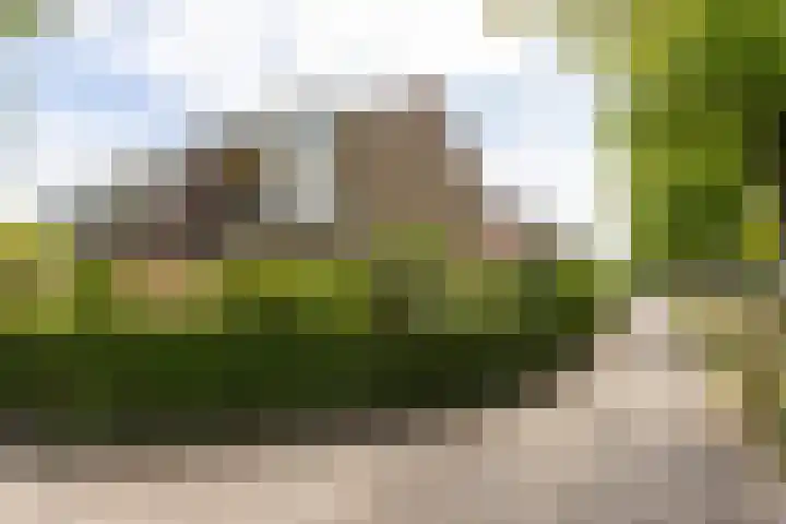Berkenlaan 1 Castricum thumbnail 44