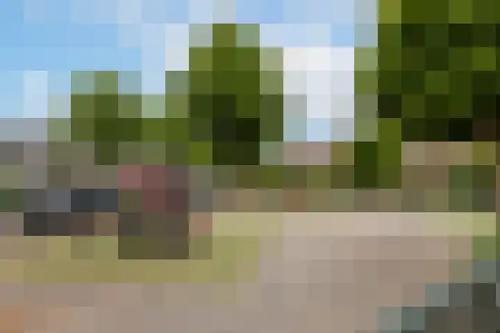 Berkenlaan 1 Castricum thumbnail 45