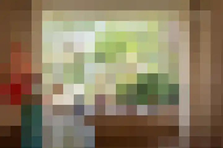 Berkenlaan 1 Castricum thumbnail 5