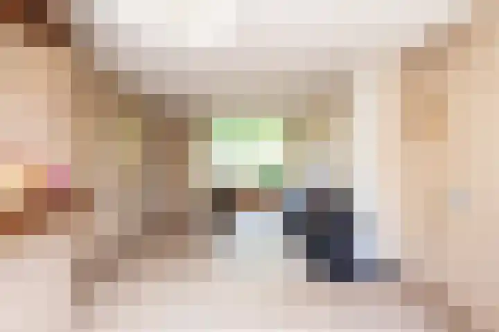 Berkenlaan 1 Castricum thumbnail 8