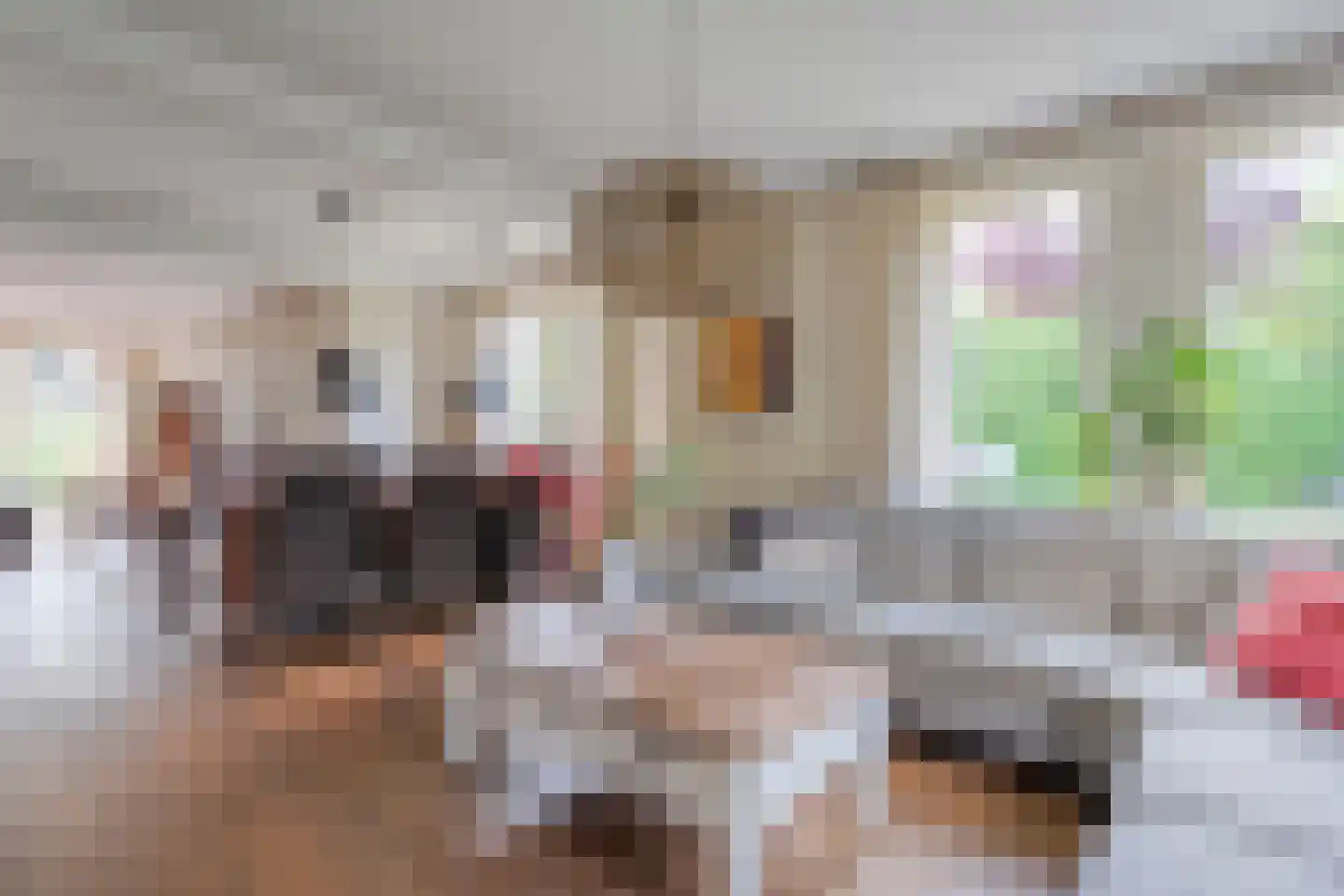Berkenlaan 1 Gasselte thumbnail 11