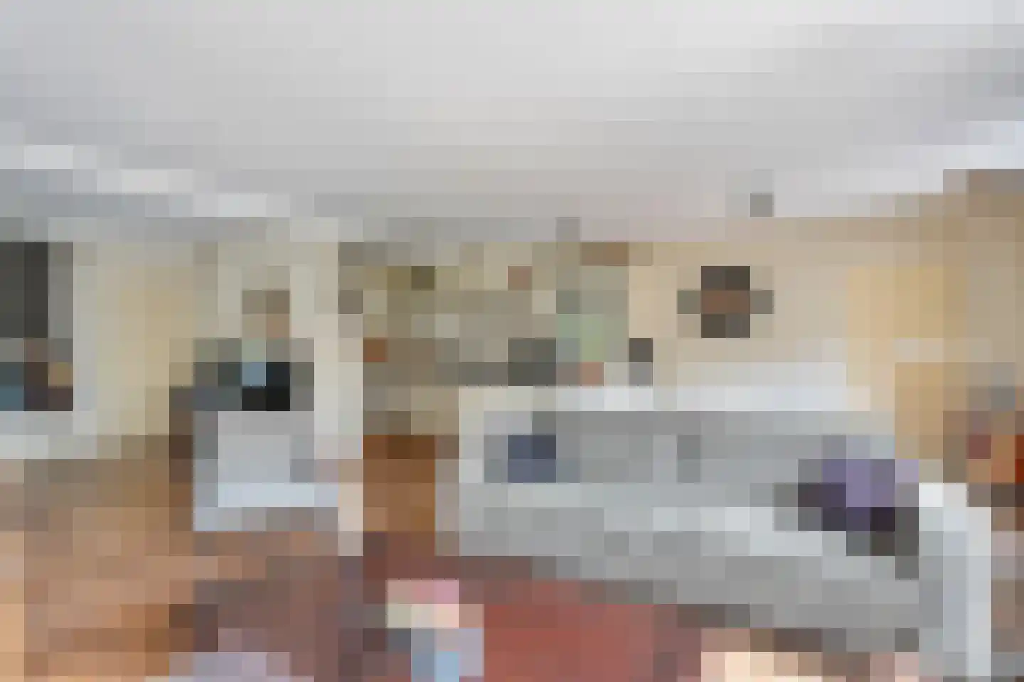 Berkenlaan 1 Gasselte thumbnail 15