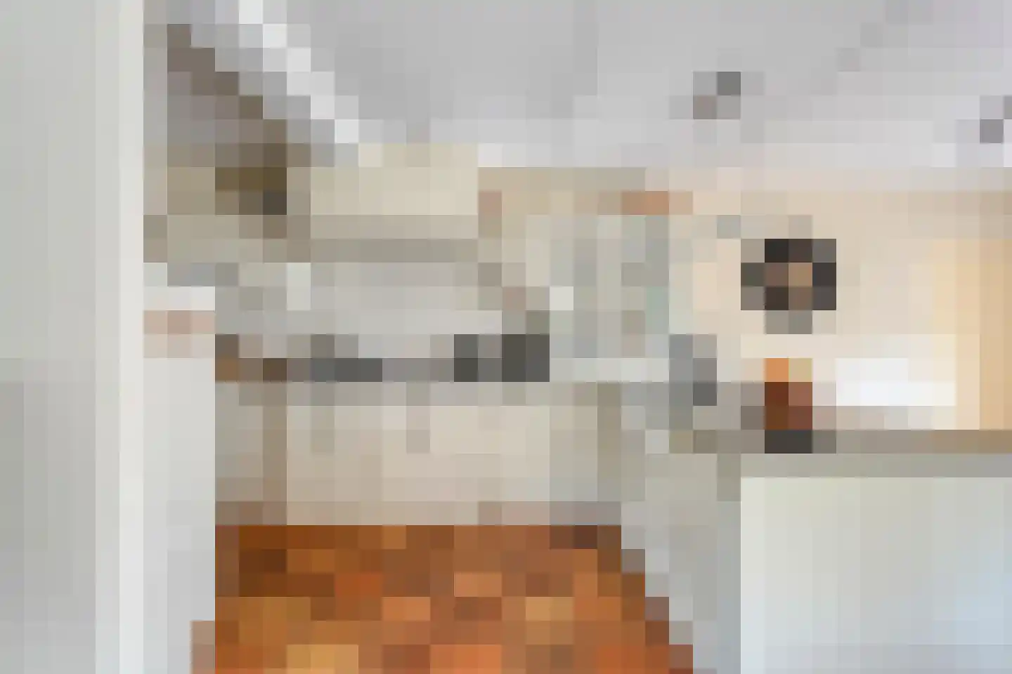 Berkenlaan 1 Gasselte thumbnail 17