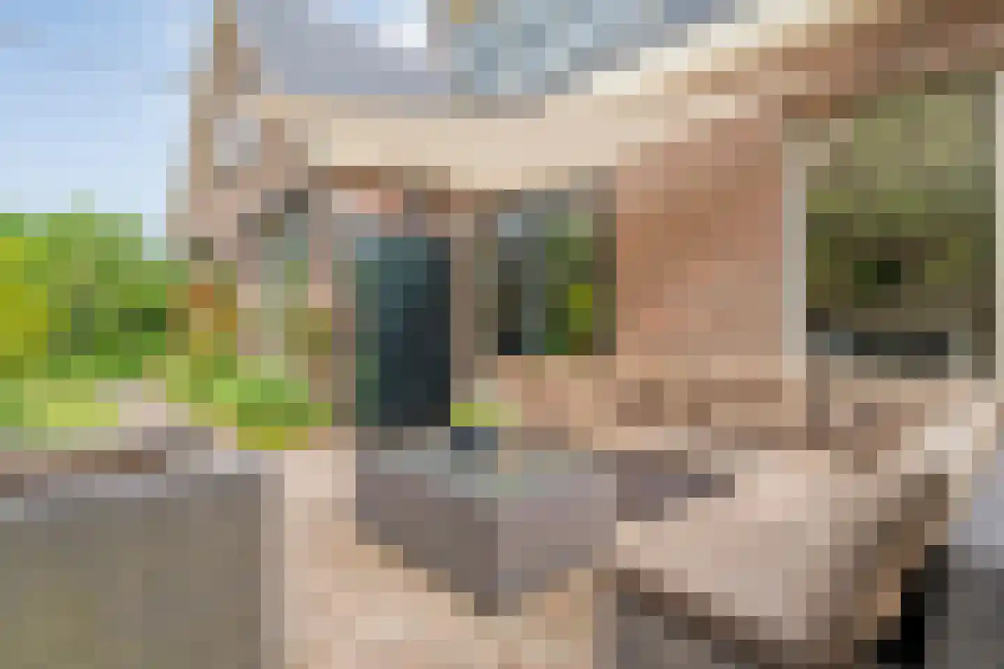 Berkenlaan 1 Gasselte foto 2