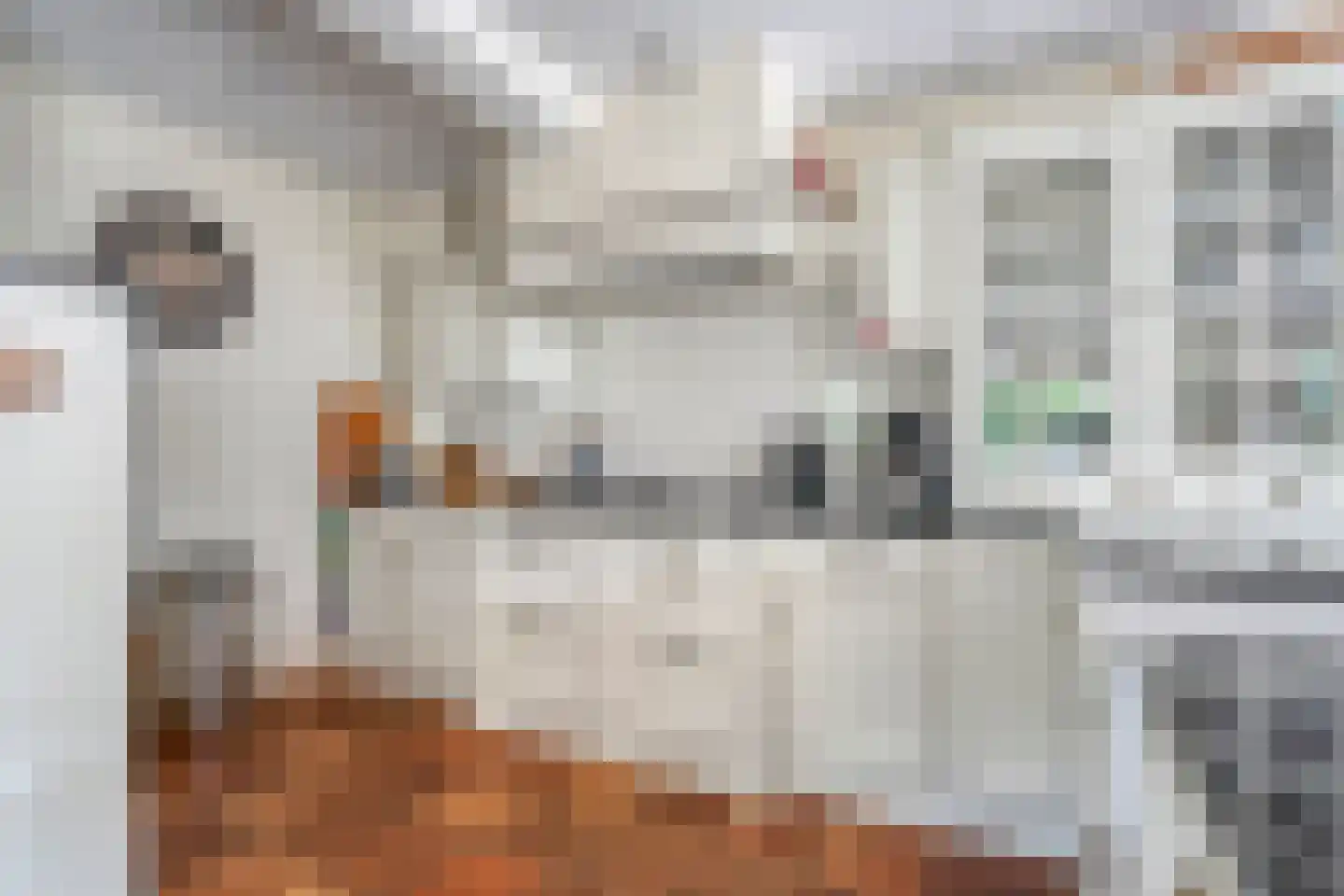 Berkenlaan 1 Gasselte thumbnail 20