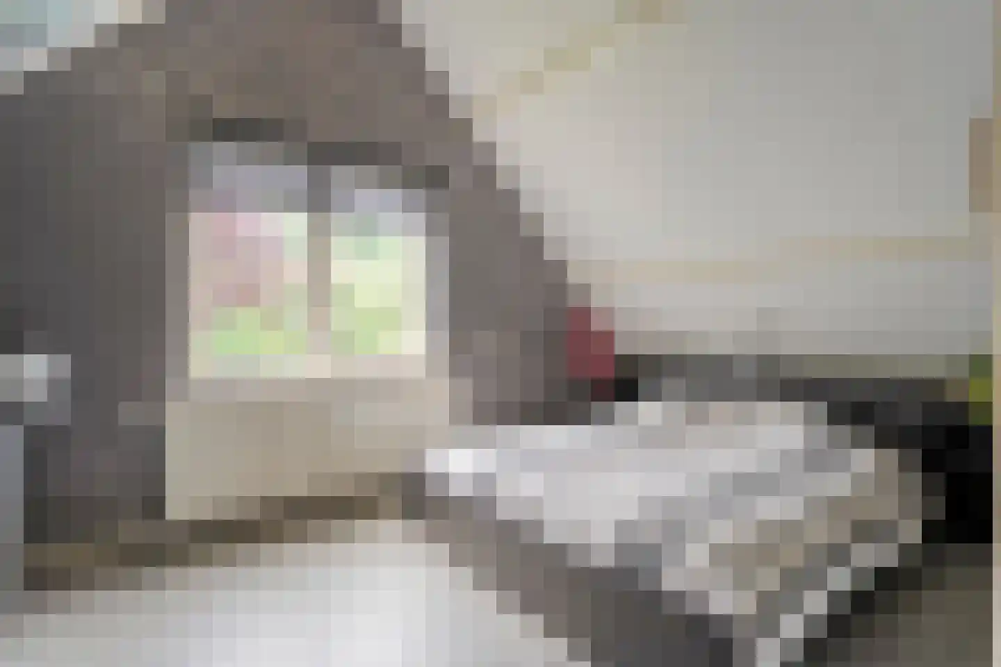 Berkenlaan 1 Gasselte thumbnail 28