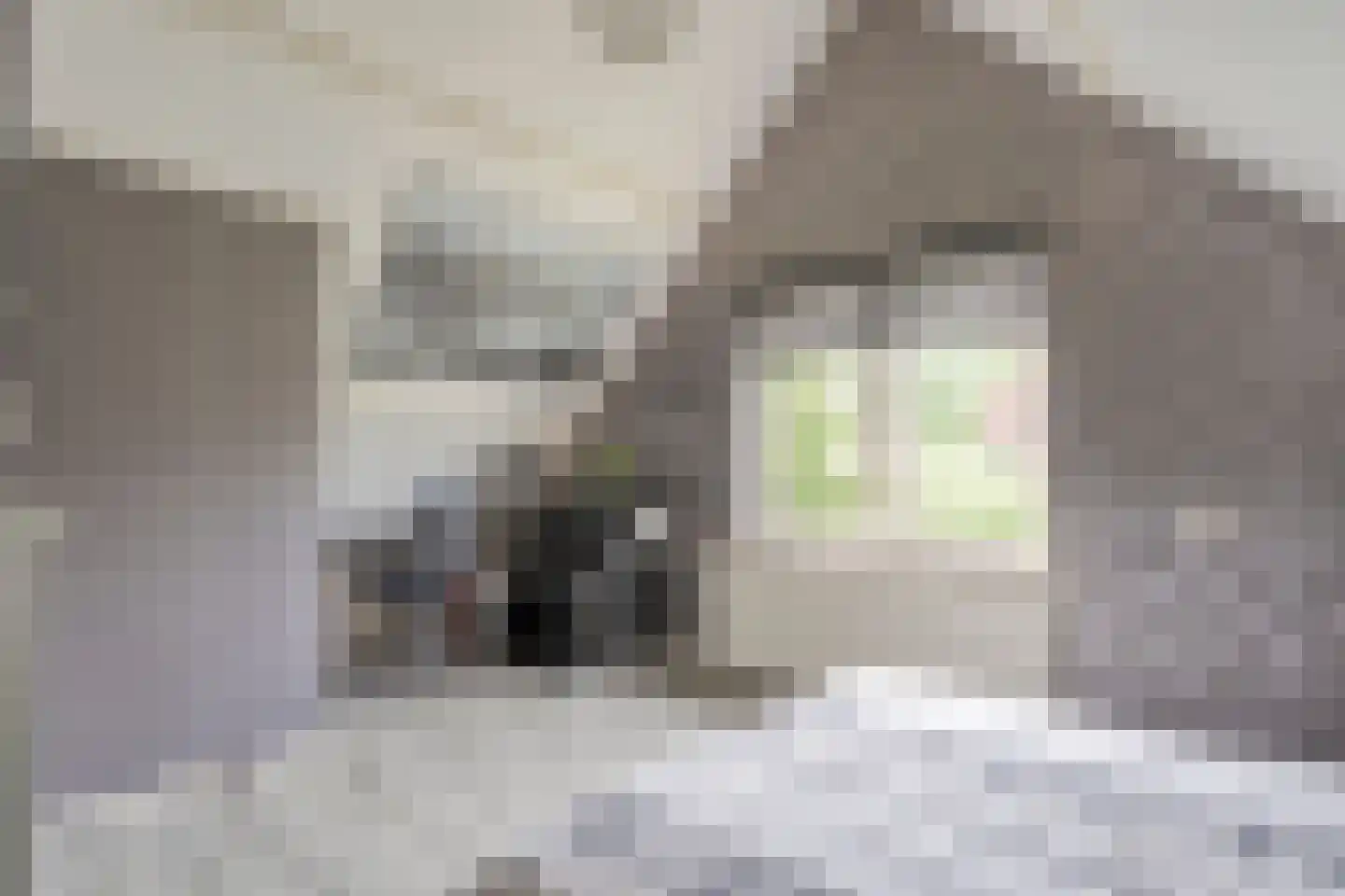 Berkenlaan 1 Gasselte thumbnail 30