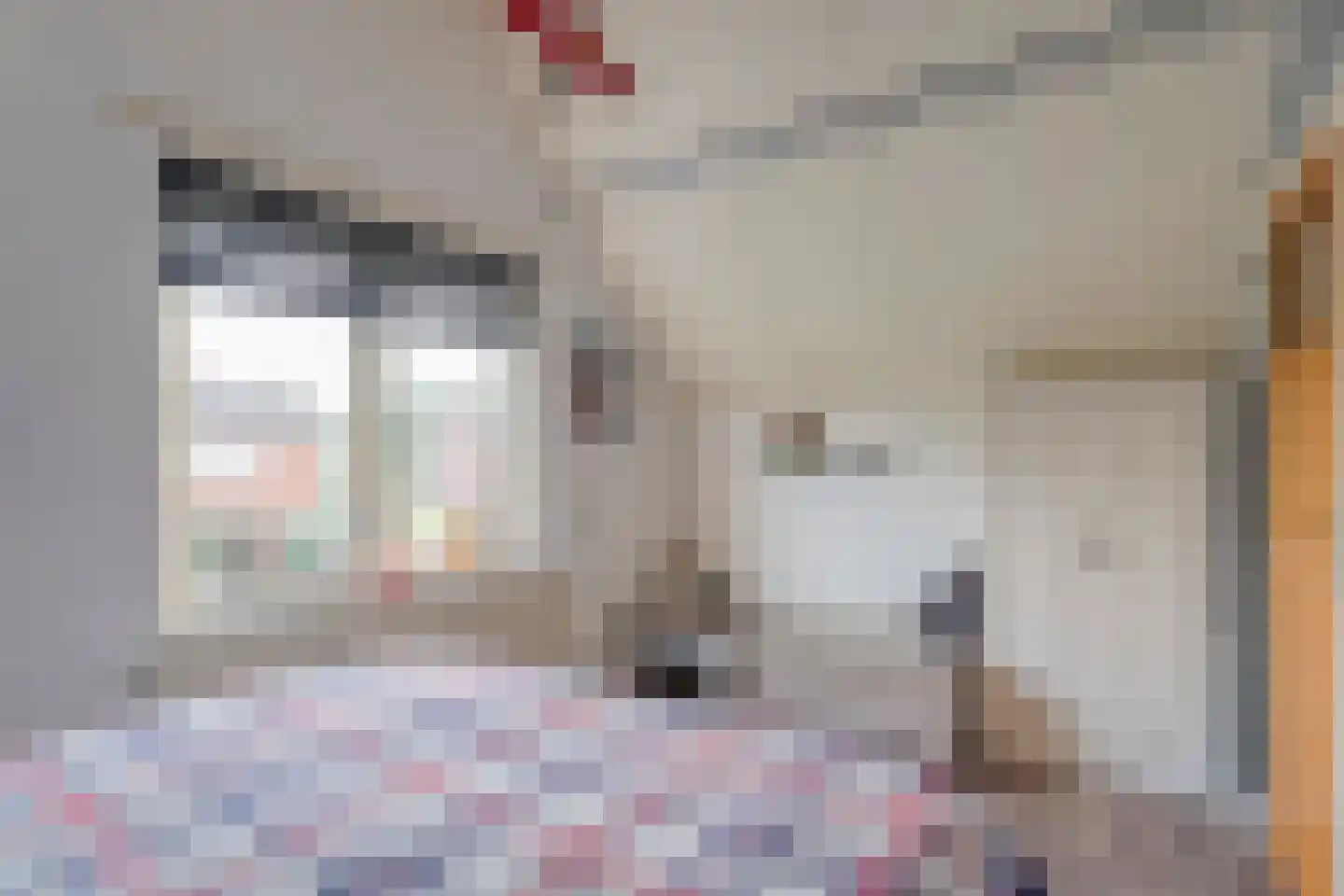 Berkenlaan 1 Gasselte thumbnail 32