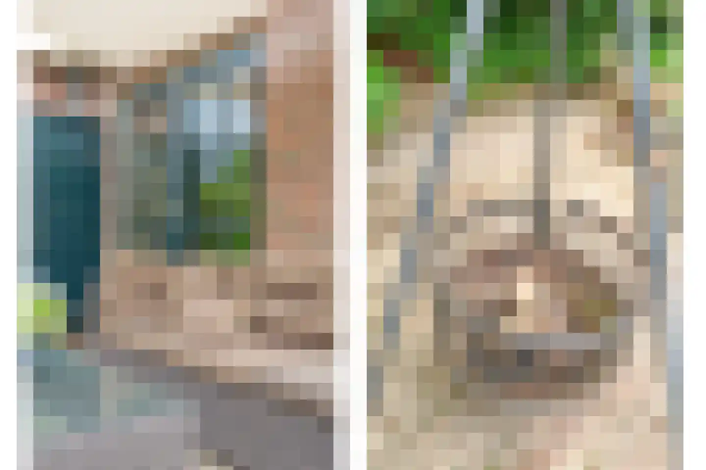 Berkenlaan 1 Gasselte thumbnail 43