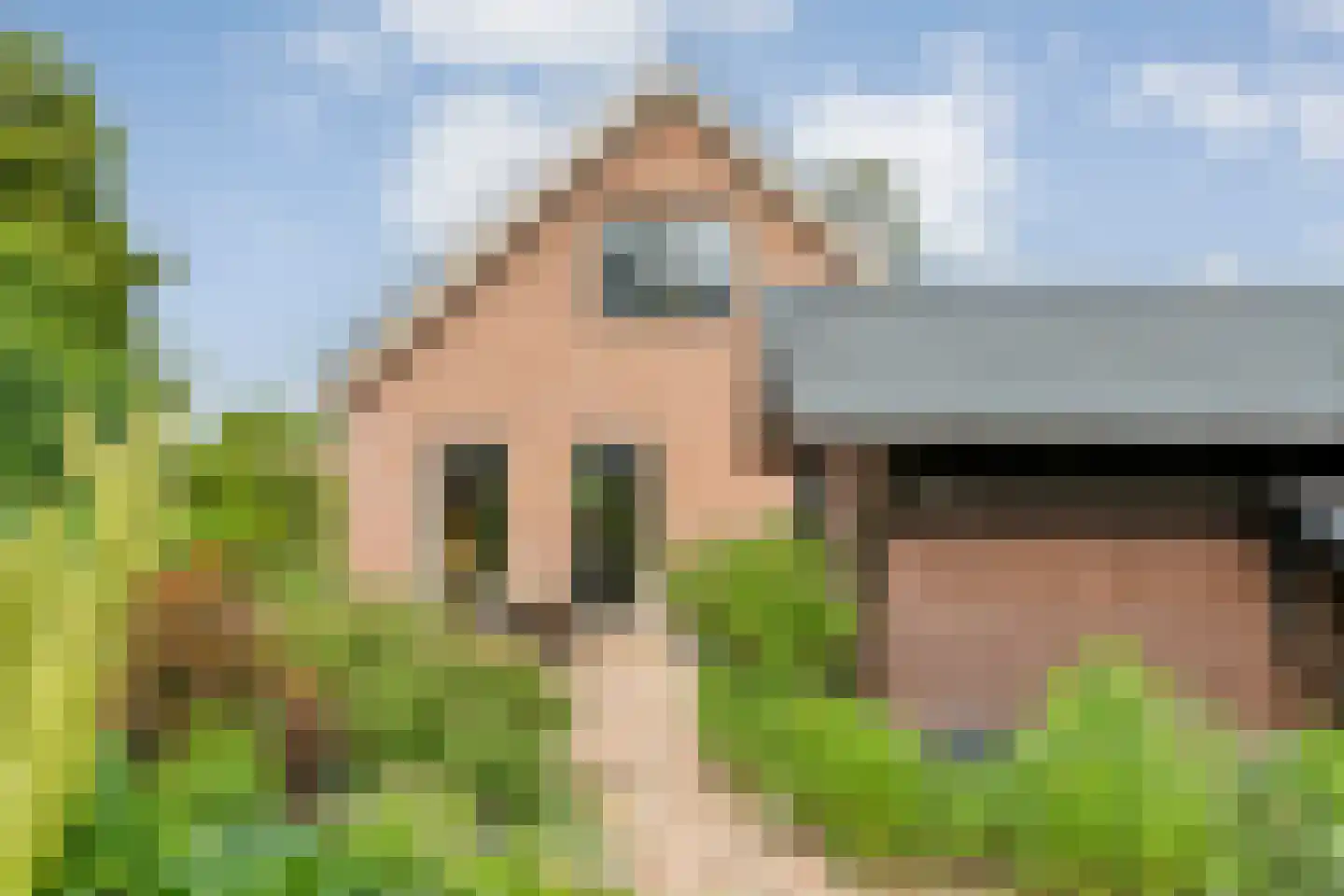 Berkenlaan 1 Gasselte thumbnail 44