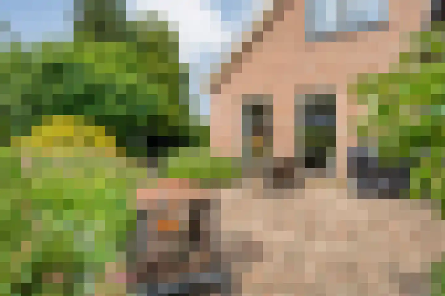 Berkenlaan 1 Gasselte thumbnail 45
