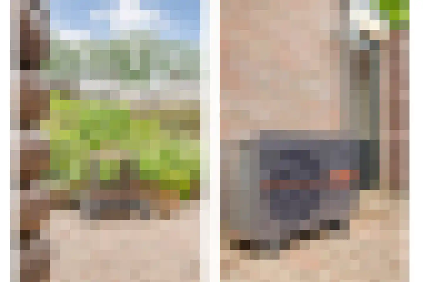 Berkenlaan 1 Gasselte thumbnail 47