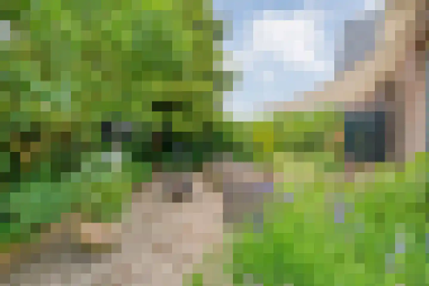 Berkenlaan 1 Gasselte thumbnail 51