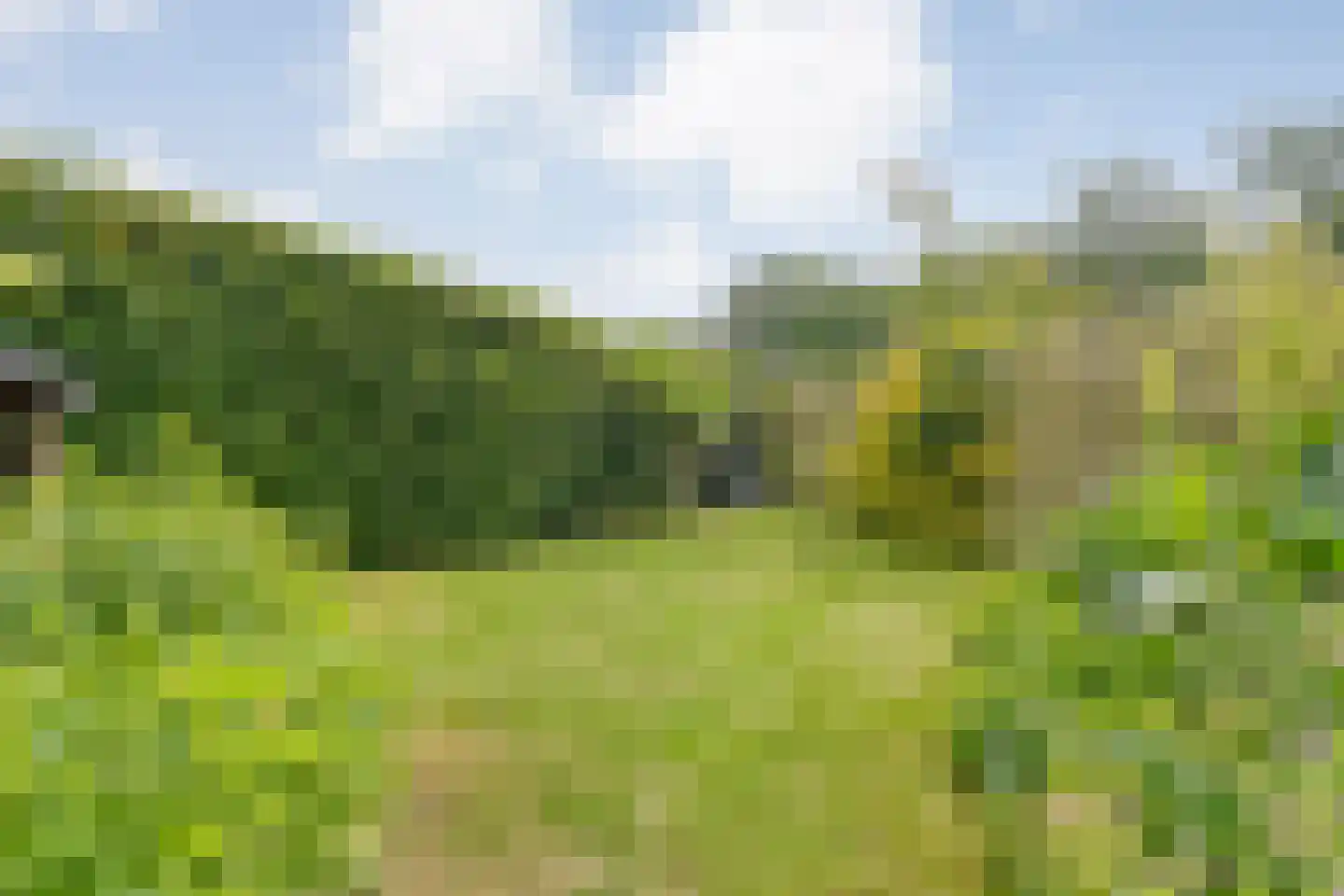 Berkenlaan 1 Gasselte thumbnail 52