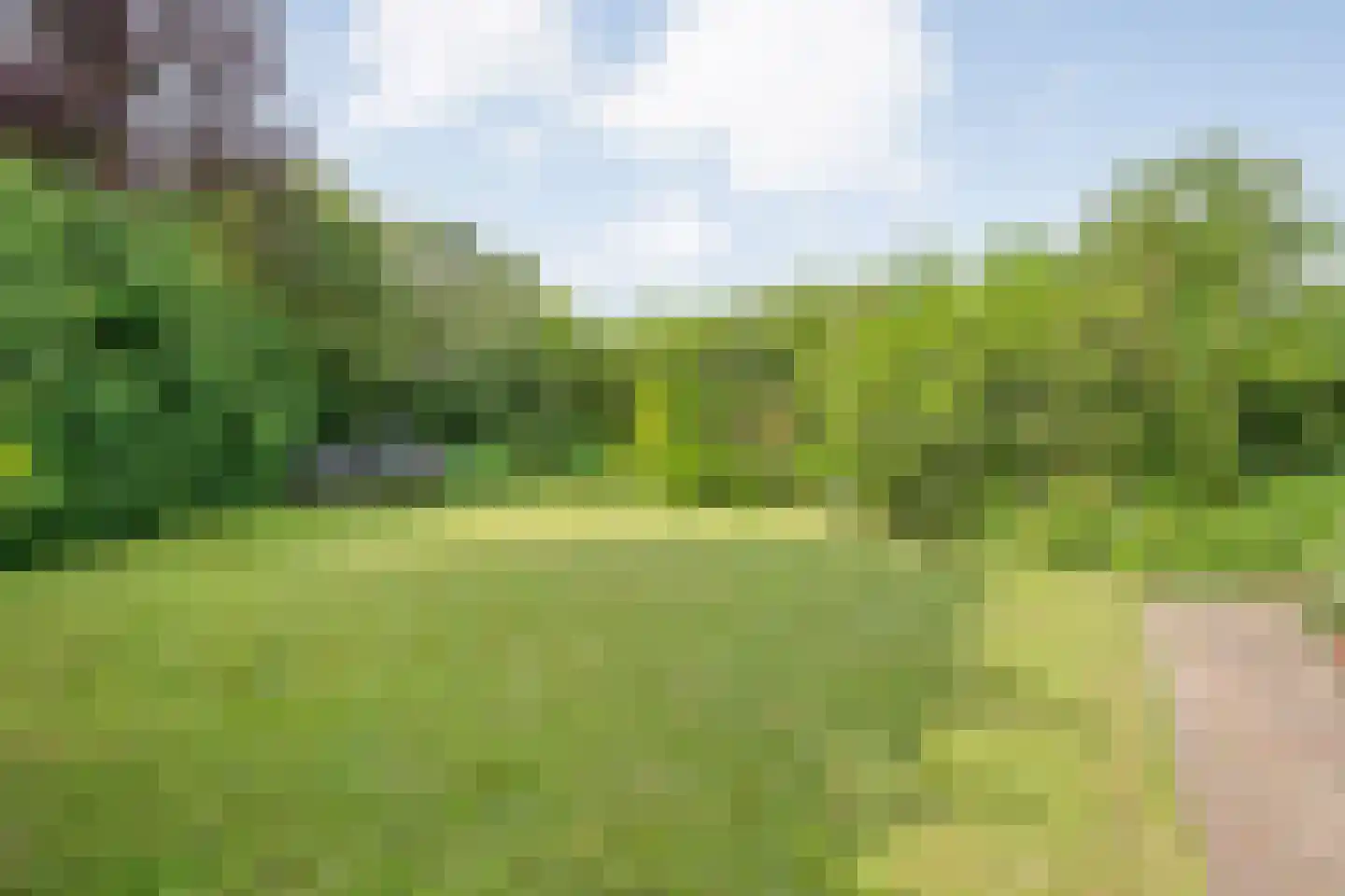 Berkenlaan 1 Gasselte thumbnail 53