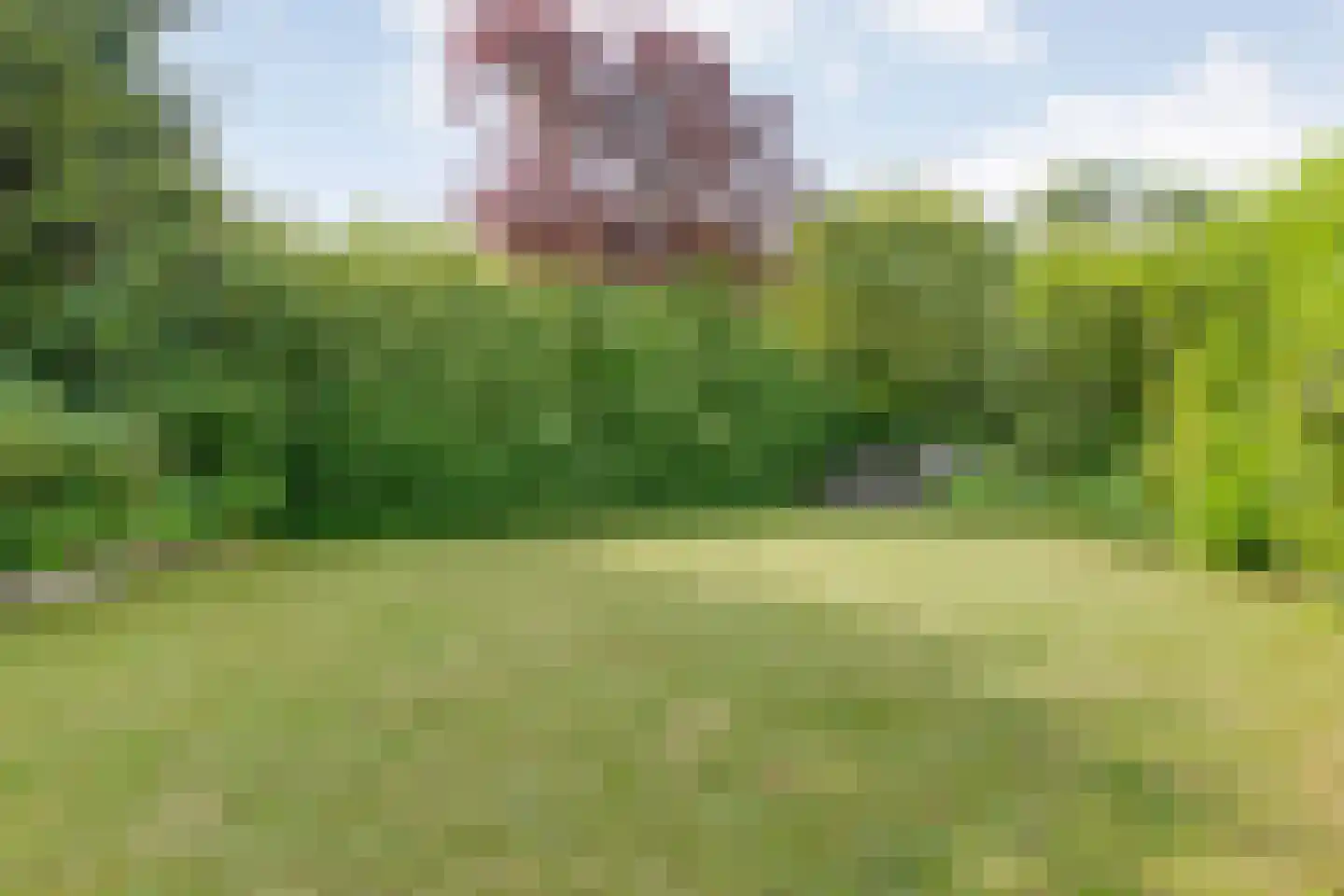 Berkenlaan 1 Gasselte thumbnail 54
