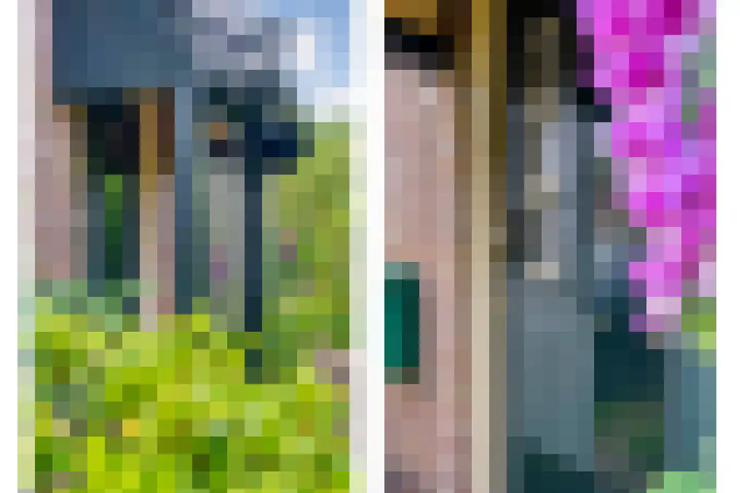 Berkenlaan 1 Gasselte thumbnail 7