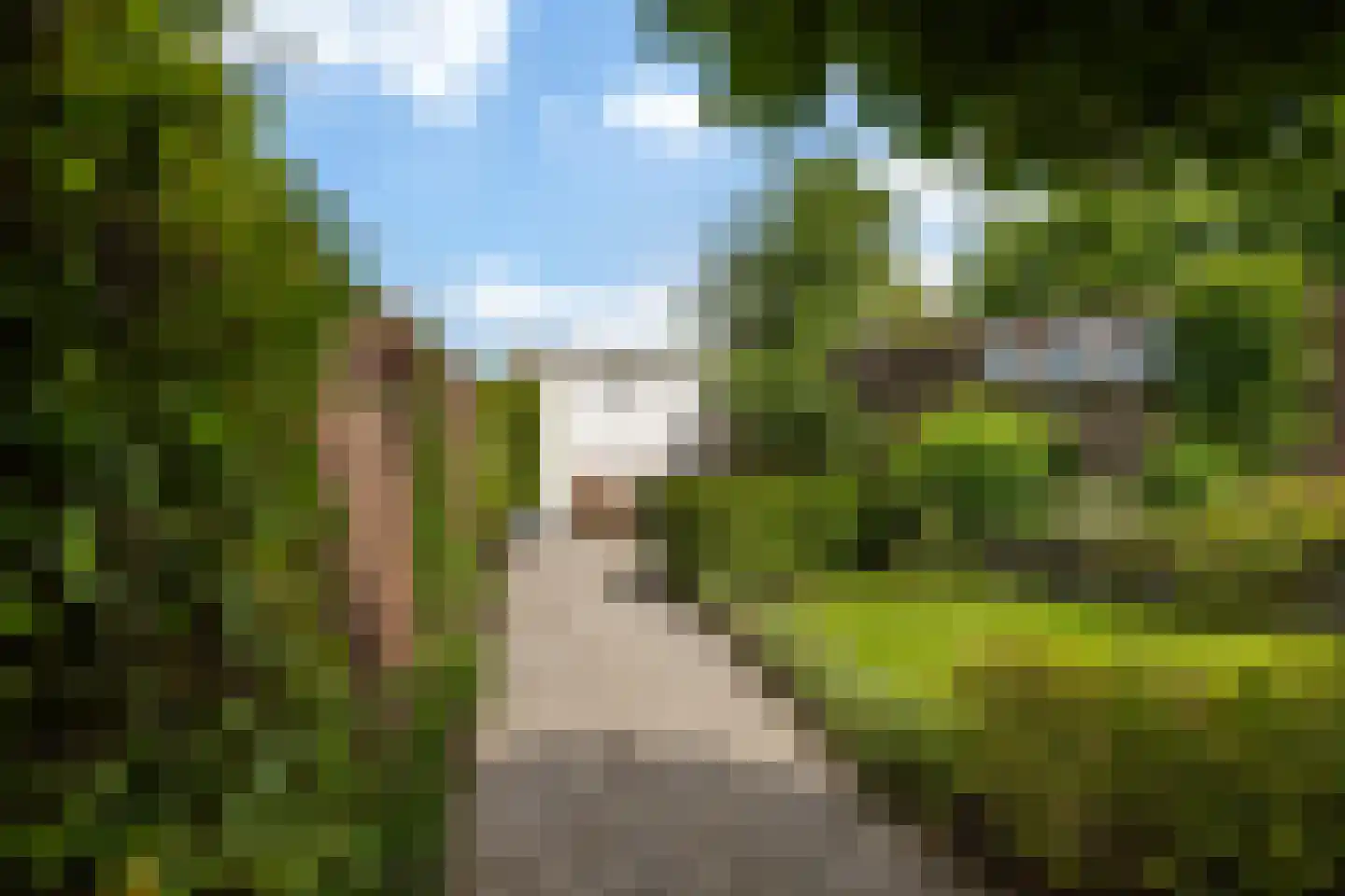 Berkenlaan 1 Kamerik thumbnail 17