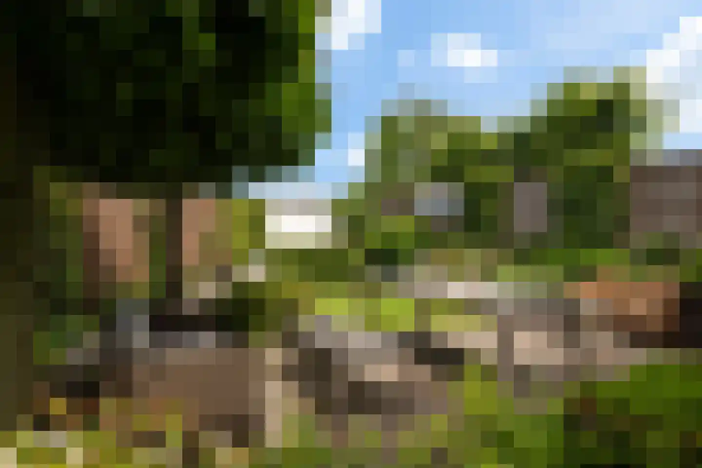Berkenlaan 1 Kamerik thumbnail 18