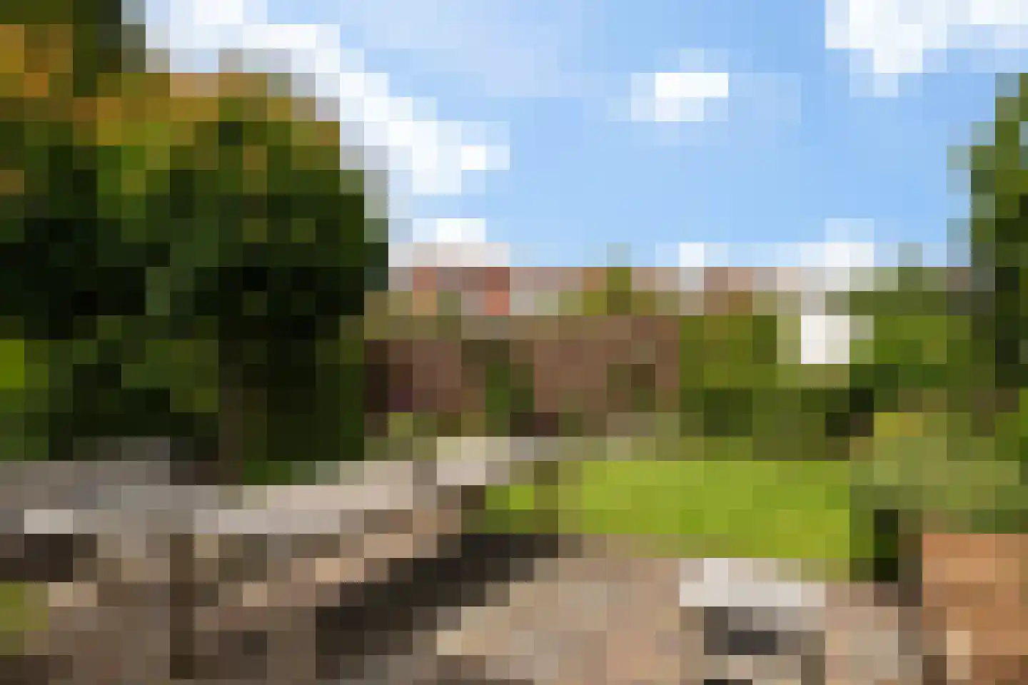 Berkenlaan 1 Kamerik thumbnail 19