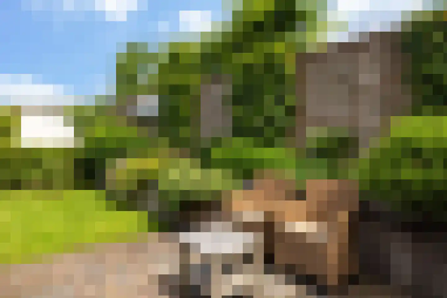 Berkenlaan 1 Kamerik thumbnail 20