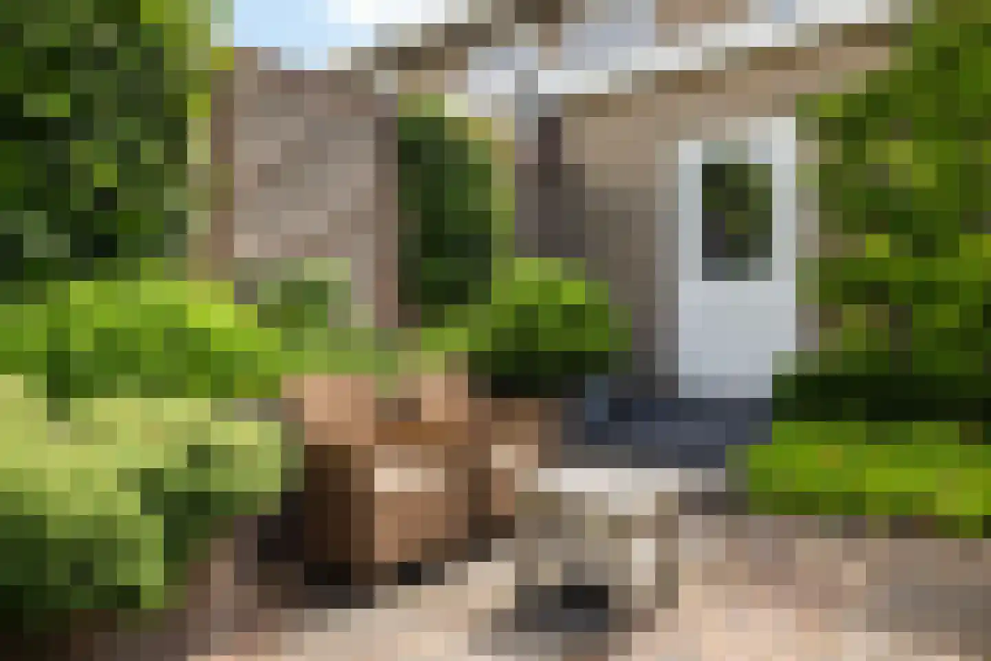 Berkenlaan 1 Kamerik thumbnail 22