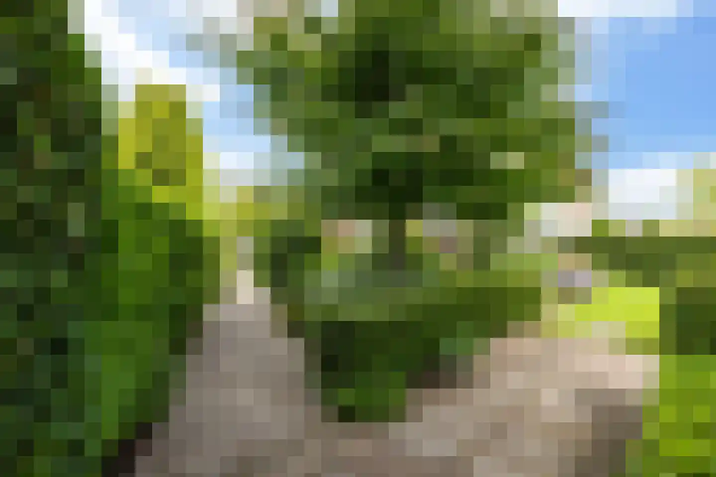 Berkenlaan 1 Kamerik thumbnail 27