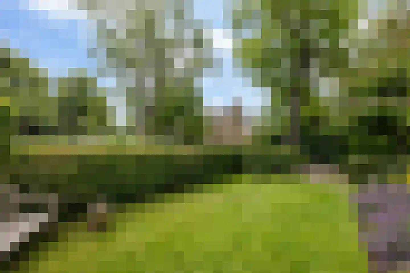 Berkenlaan 1 Kamerik thumbnail 28