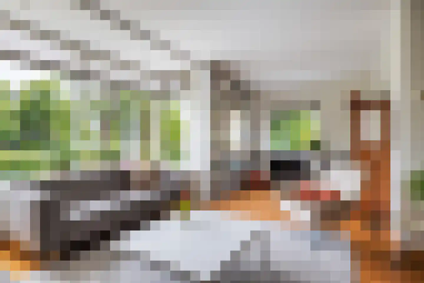 Berkenlaan 1 Kamerik foto 3