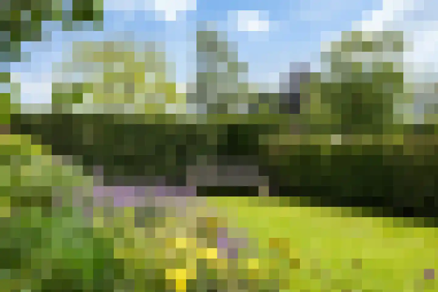 Berkenlaan 1 Kamerik thumbnail 30