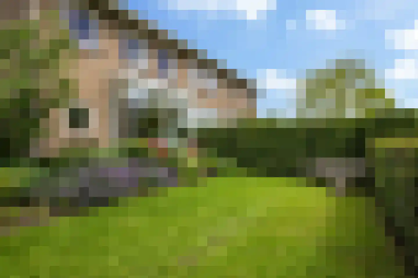 Berkenlaan 1 Kamerik thumbnail 32