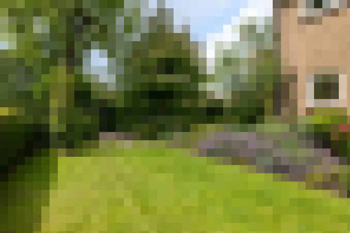 Berkenlaan 1 Kamerik thumbnail 33